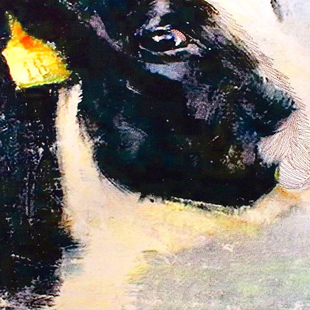 Hand-stitched wool detail of Farm Cow needlepoint pillow showing intricate weave pattern and texture