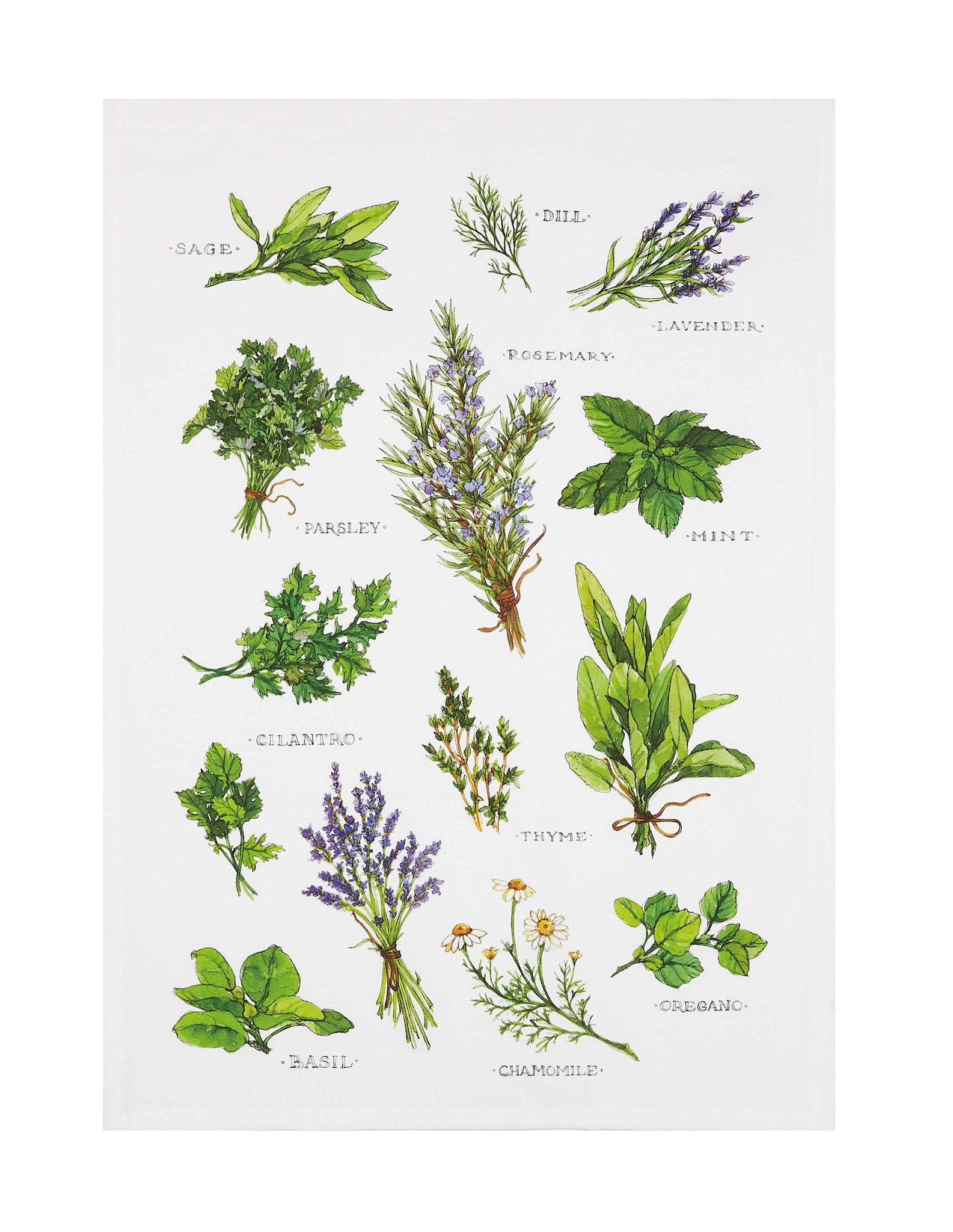 Field Guide Herbs Flour Sack Kitchen Towel, 18x25 inch, front view