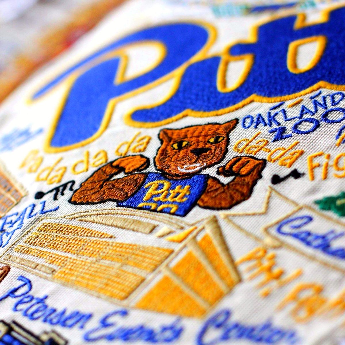Pittsburgh Panthers Embroidered College Pillow - close-up detail of hand-embroidered needlepoint stitching