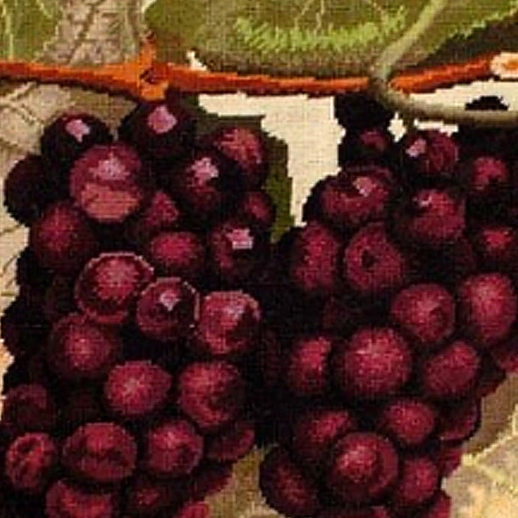 Hand-stitched wool detail of Purple Grape Vine Wine needlepoint pillow showing intricate weave pattern and texture