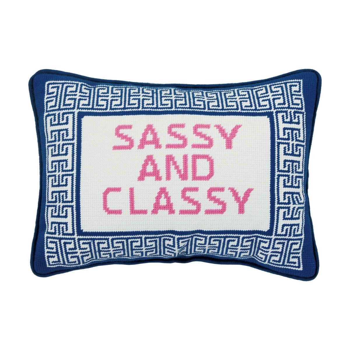 Sassy/Classy Embroidered Needlepoint Throw Pillow, 10x14 inch, front view