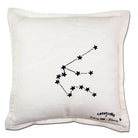 Aquarius Astrology Zodiac Embroidered Throw Pillow - back view showing velvet backing and zipper