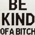 Be Kind (of a Bitch) Embroidered Needlepoint Throw Pillow, close-up detail