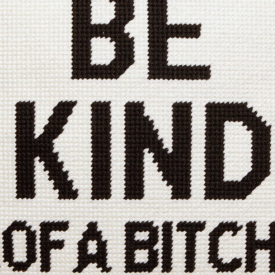 Be Kind (of a Bitch) Embroidered Needlepoint Throw Pillow, close-up detail