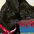 Hand-stitched wool detail of Black Lab Dog Lover needlepoint pillow showing intricate weave pattern and texture