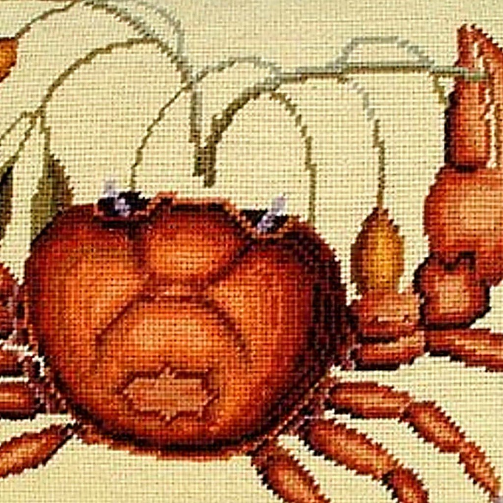 Hand-stitched wool detail of Colorful Land Crab Natural needlepoint pillow showing intricate weave pattern and texture