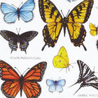 Closeup of Field Guide Butterflies Printed Kitchen Towel showing print and fabric detail