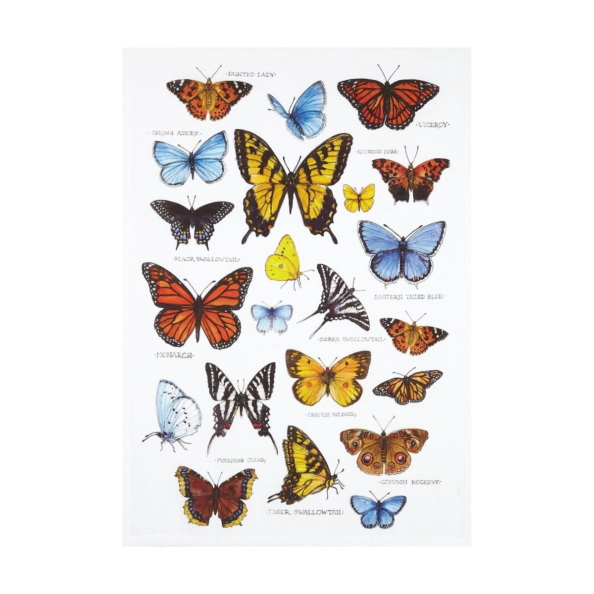 Field Guide Butterflies Printed Kitchen Towel, 18x25 inch, front view