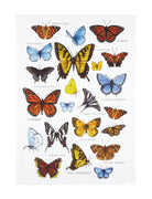 Field Guide Butterflies Printed Kitchen Towel, 18x25 inch, front view