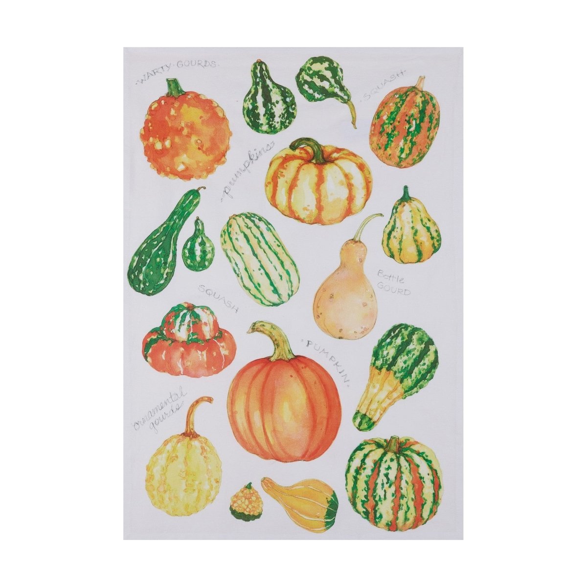 Field Guide Gourds Kitchen Towel, 18x25 inch, front view