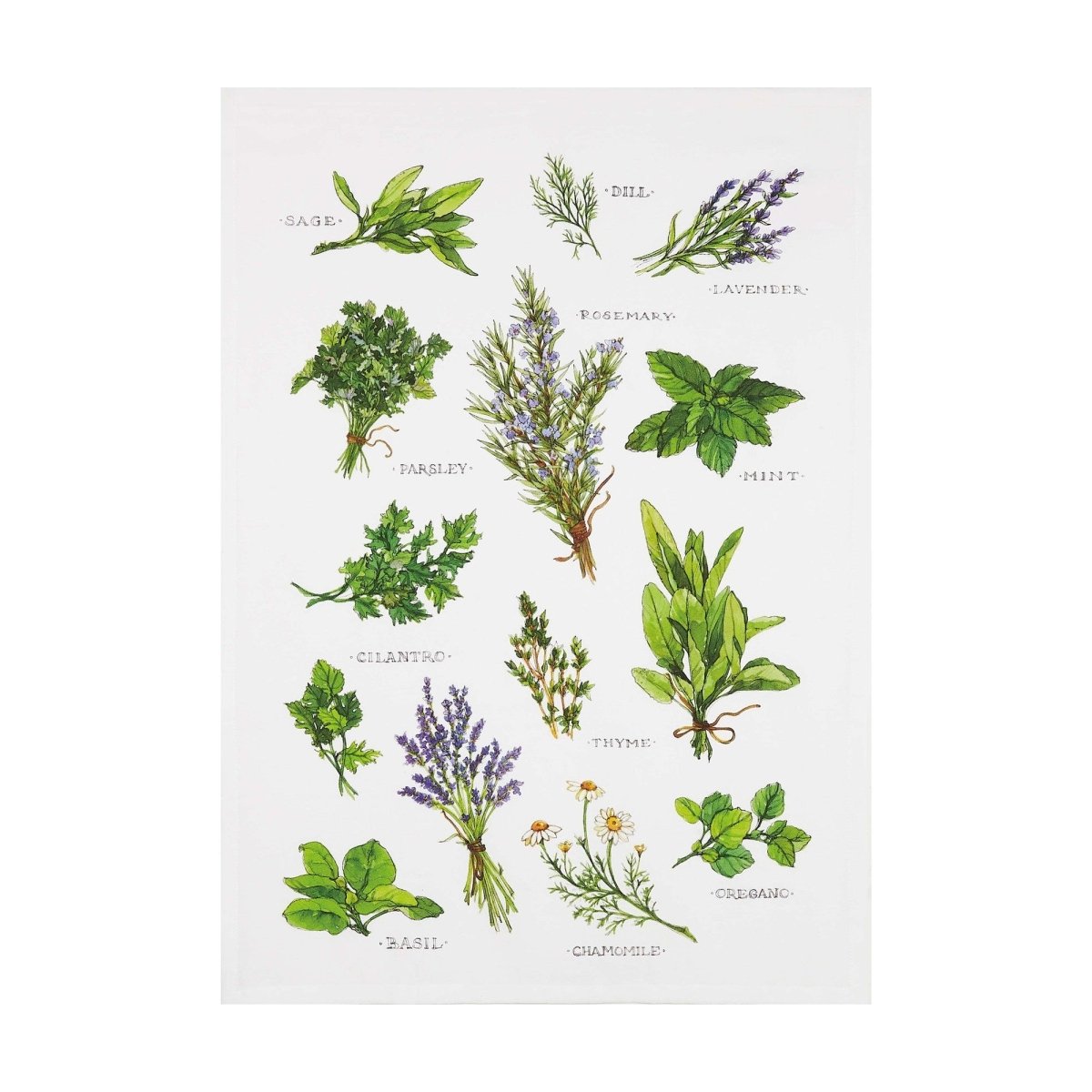 Field Guide Herbs Flour Sack Kitchen Towel, 18x25 inch, front view