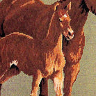 Golden Brown Quarter Horses pillow fabric closeup showing hand-embroidered needlepoint wool texture and color detail