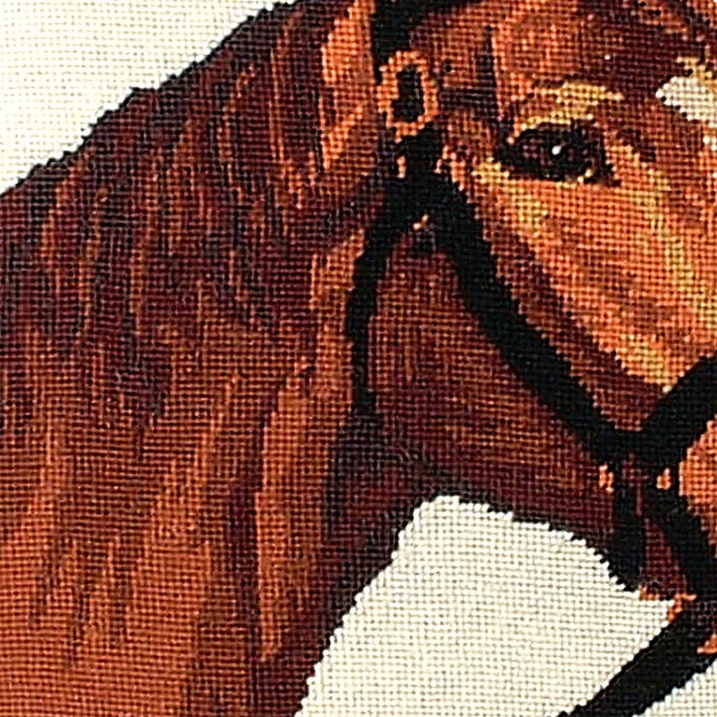 Horse Equestrian Farm Ranch pillow fabric closeup showing hand-embroidered needlepoint wool texture and color detail