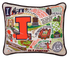 Illinois Fighting Illini hand-embroidered throw pillow featuring school colors and mascot imagery