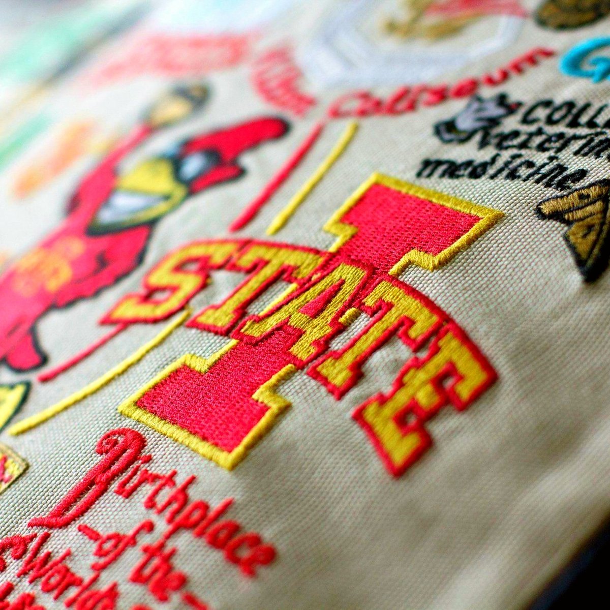 Iowa State University Cyclones Embroidered College Pillow - close-up detail of hand-embroidered needlepoint stitching