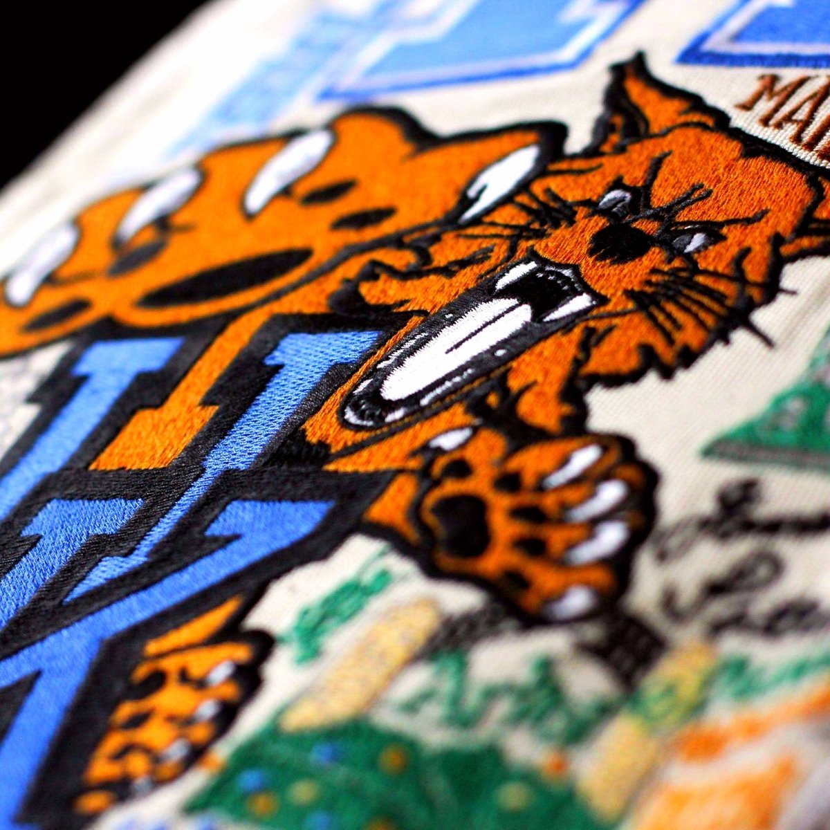 Kentucky Wildcats Embroidered College Pillow - close-up detail of hand-embroidered needlepoint stitching