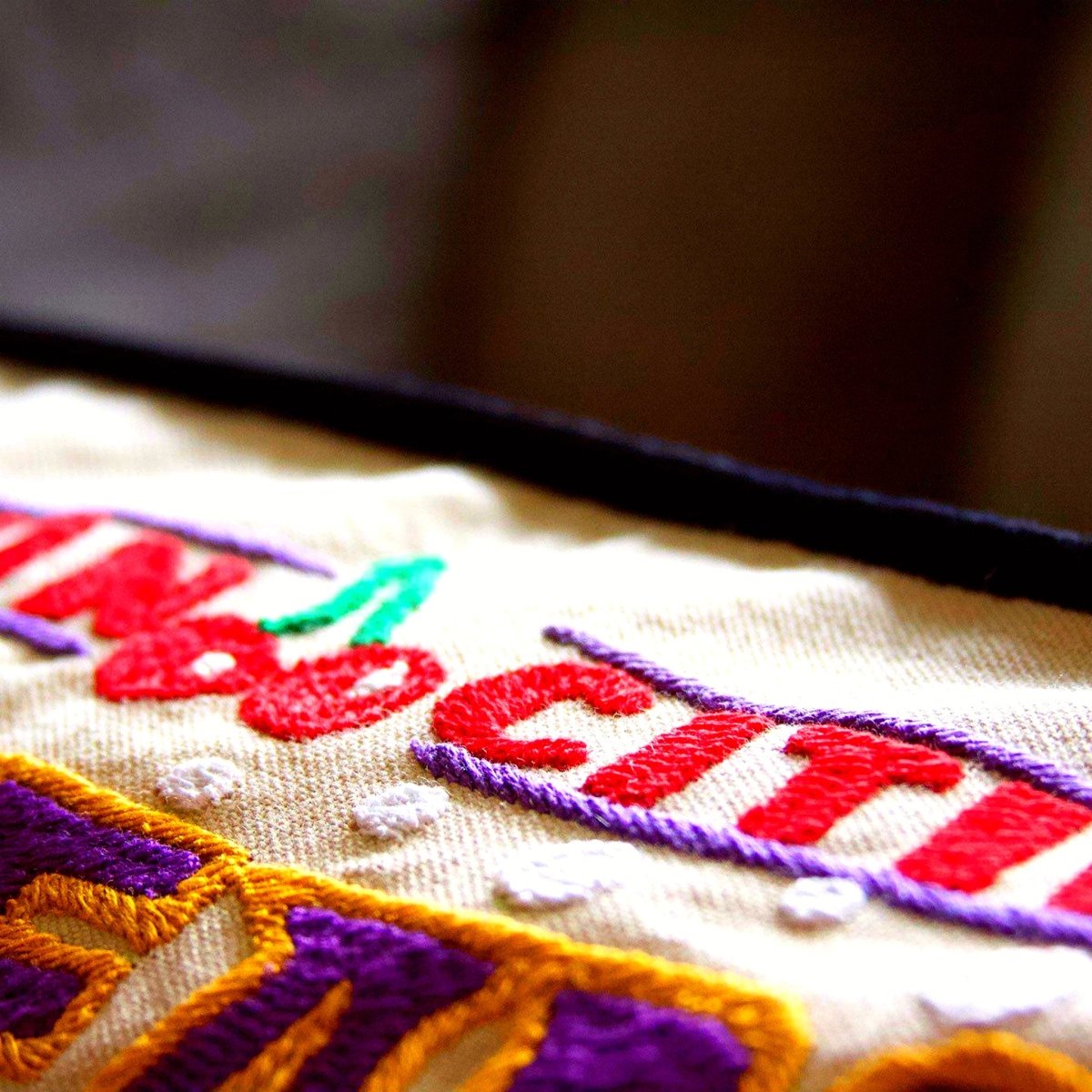 Minneapolis St Paul, MN Embroidered Travel Throw Pillow - close-up detail of hand-embroidered needlepoint stitching