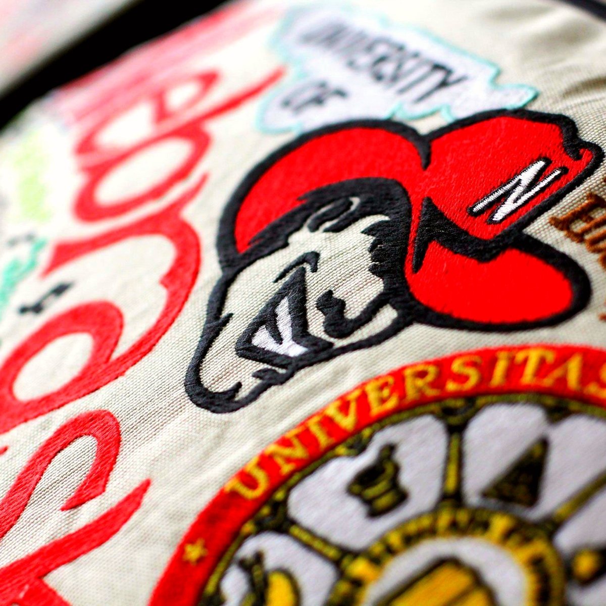 Nebraska Cornhuskers Embroidered College Pillow - close-up detail of hand-embroidered needlepoint stitching