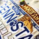 Penn State University Nittany Lions Embroidered College Pillow - close-up detail of hand-embroidered needlepoint stitching