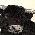 Hand-stitched wool detail of Rustic Black Steer Bull Farm Lodge needlepoint pillow showing intricate weave pattern and texture