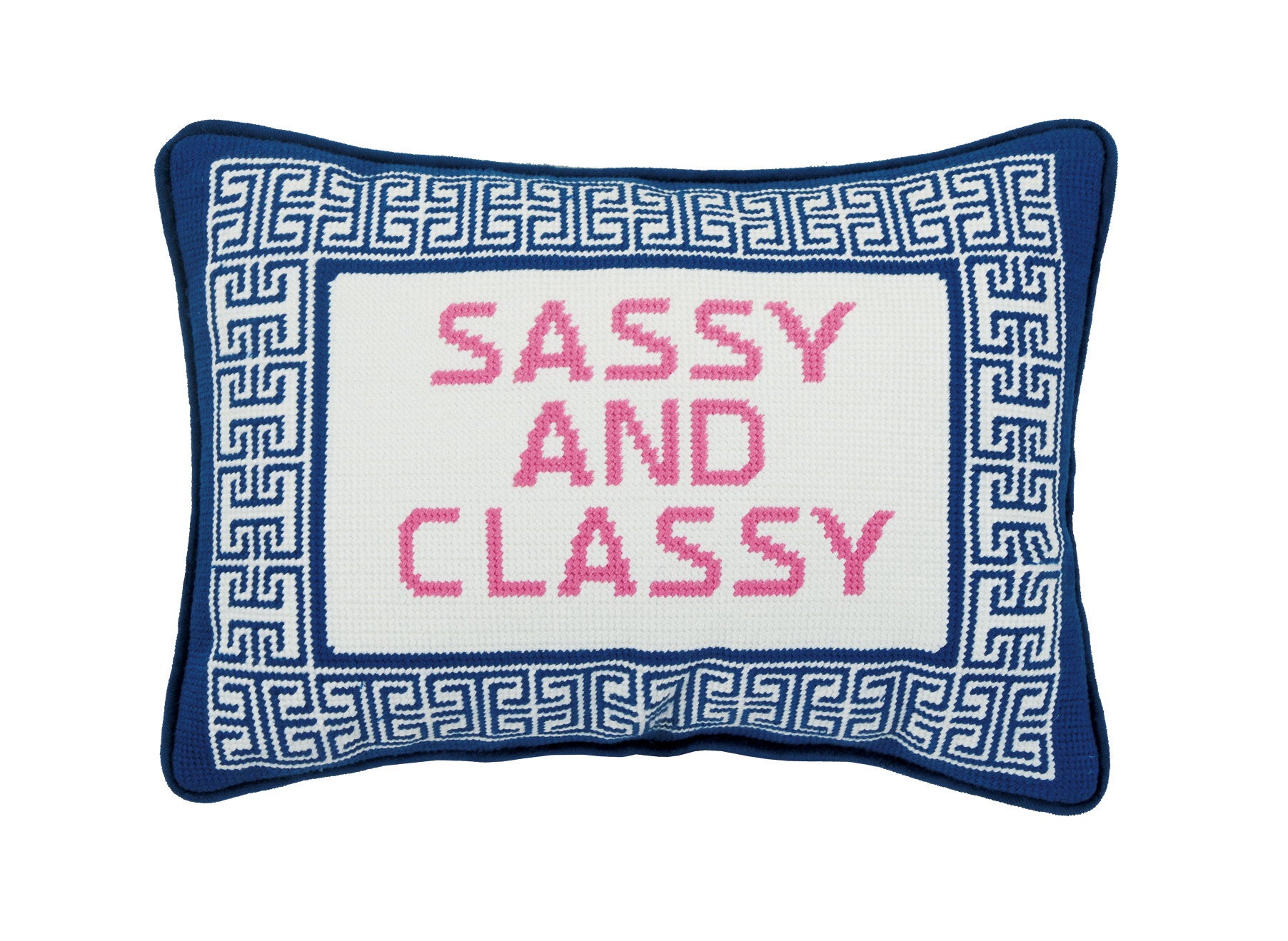 Sassy/Classy Embroidered Needlepoint Throw Pillow, 10x14 inch, front view
