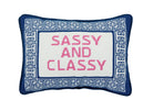 Sassy/Classy Embroidered Needlepoint Throw Pillow, 10x14 inch, front view
