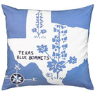 Texas Blue Bonnet State needlepoint throw pillow showcasing iconic landmarks