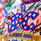 Washington DC Capital State Travel Embroidered Pillow - close-up detail of hand-embroidered needlepoint stitching