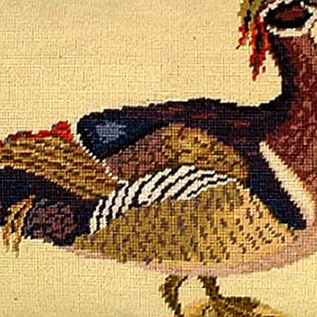 Hand-stitched wool detail of Wood Duck Colonial Williamsburg needlepoint pillow showing intricate weave pattern and texture
